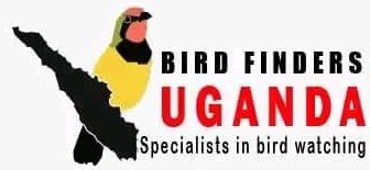 Bird Finders Uganda